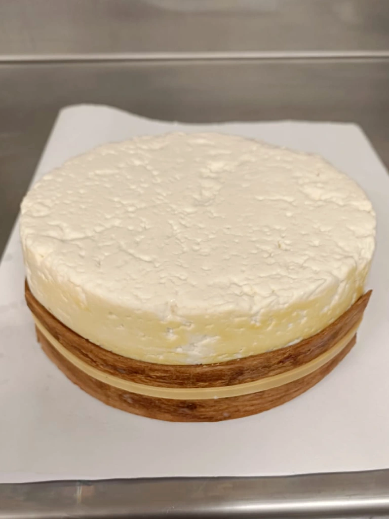 proceso-productivo-1