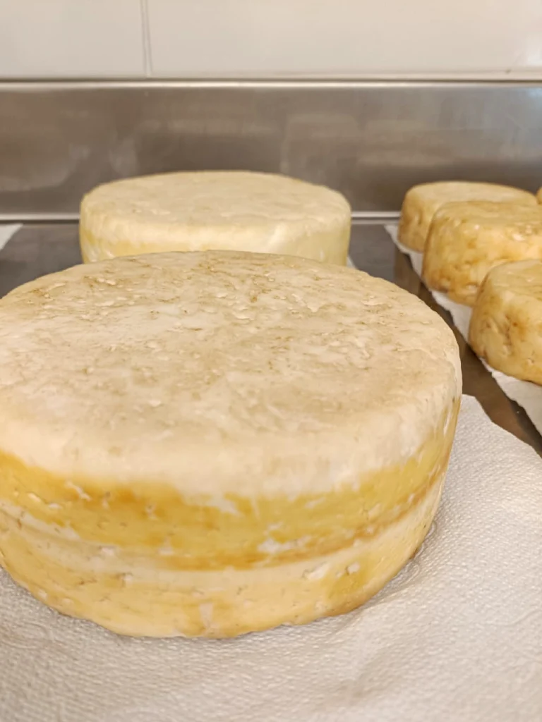 proceso productivo-2